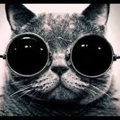 Backes - Prepare For The Night