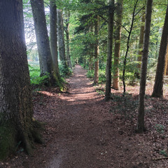 down the mountain
