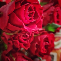 يجعله عامر  / الفالنتاين