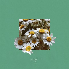 Where my heart becomes free