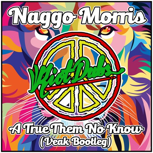Naggo Morris - A True Them No Know (Veak Bootleg) FREE DL