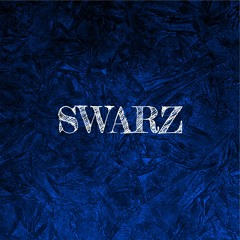 SWARZ - REBORN