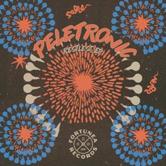 DC Promo Tracks: Peletronic "1160 Dub"