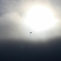 Through The Fog Vol 3.