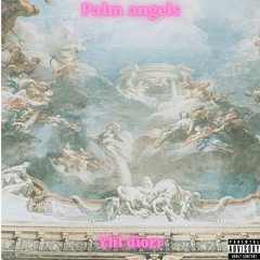 Palm angels