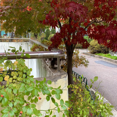 공원에서ㅣJazz Guitar ver