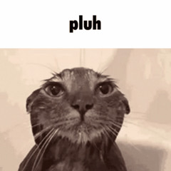 pluh !!