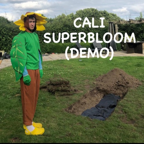 push baby - CALI SUPERBLOOM (DEMO)