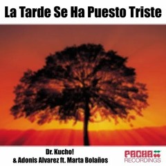 Dr. Kucho!, Adonis Alvarez - La Tarde Se Ha Puesto Triste (Audiorider Private Edit)