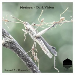 Vision (Original mix) preview