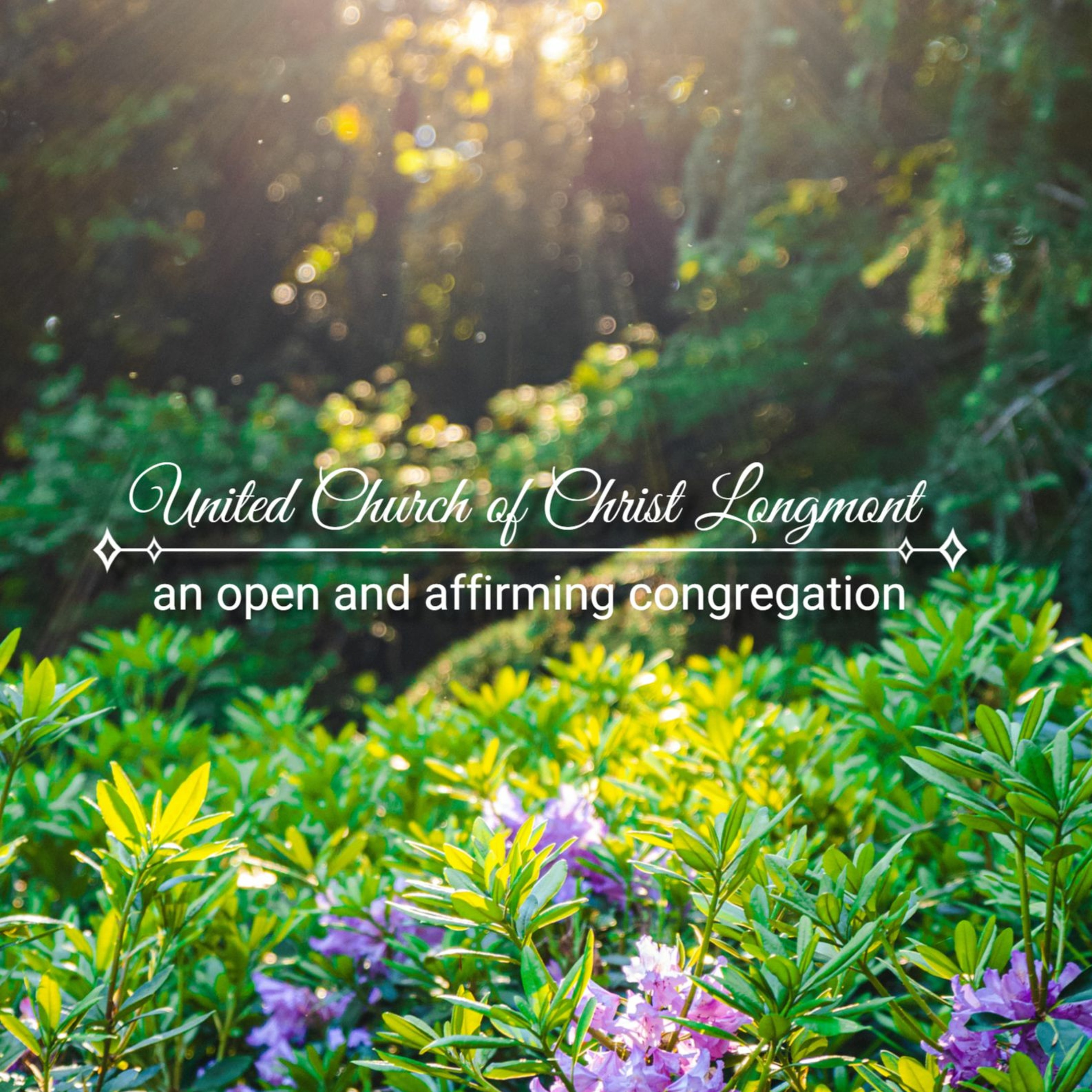 UCC Longmont Sermons