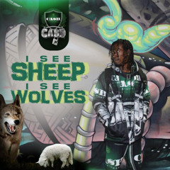 CA$H-N - I See Sheep I See Wolves