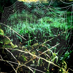 E.Mind - Open Your Mind.mp3