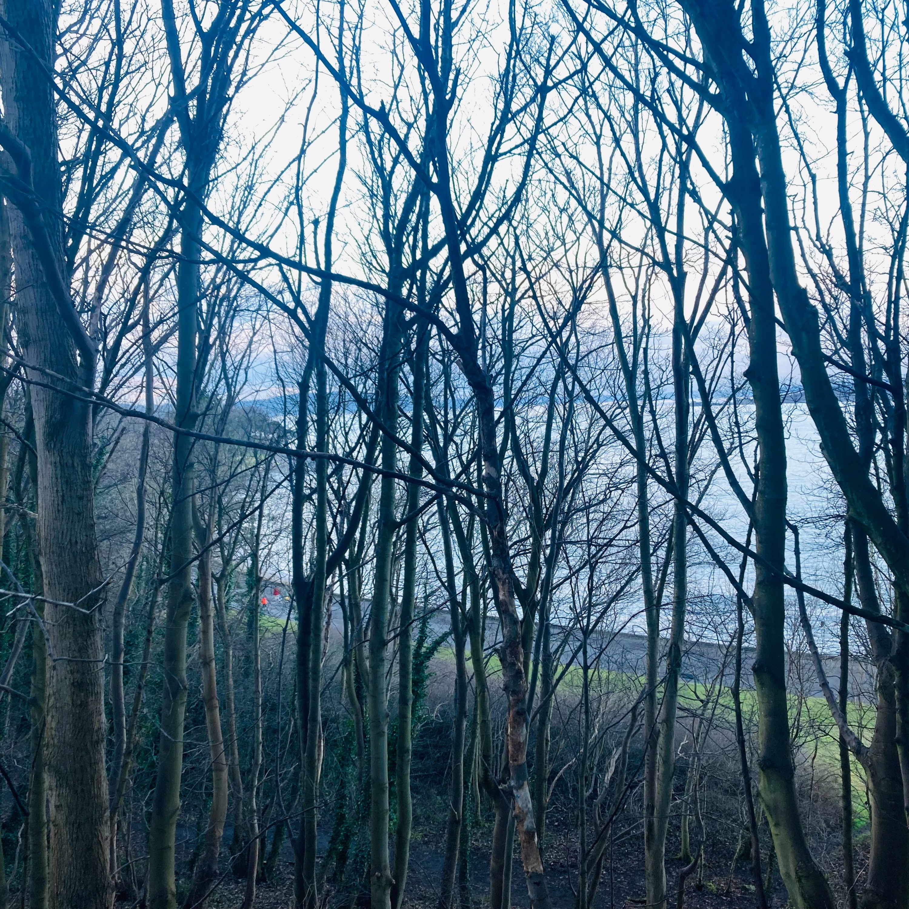 silverknowes edinburgh soundscape episode artwork
