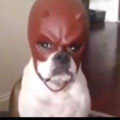 SNZITY MIX SERIES - EPISODE 001