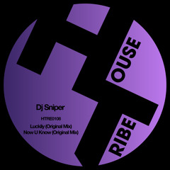 Now U Know (Original Mix) Snippet :: OUT NOW!!! On HOUSETRIBE RECORDINGS