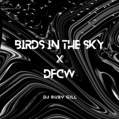 DJ Ruby Gill - Birds In The Sky X DFCW