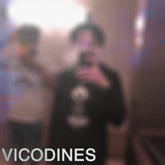 SUMMRS - VICODINES (JUKU FLIP)