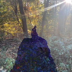 Fradgilehome(prod. ANGEL DIARY)