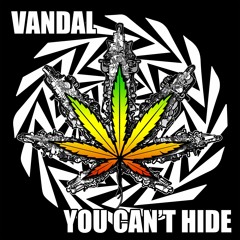 Vandal - You Can't Hide