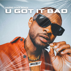 Habbo Foxx - U Got It Bad (Remix)