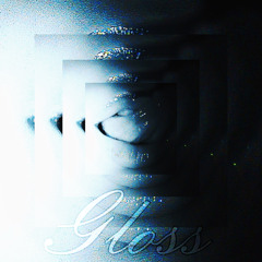 gloss₊⊹𐙚