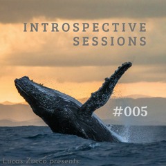 Introspective Sessions #005 (20 - 08 - 21)