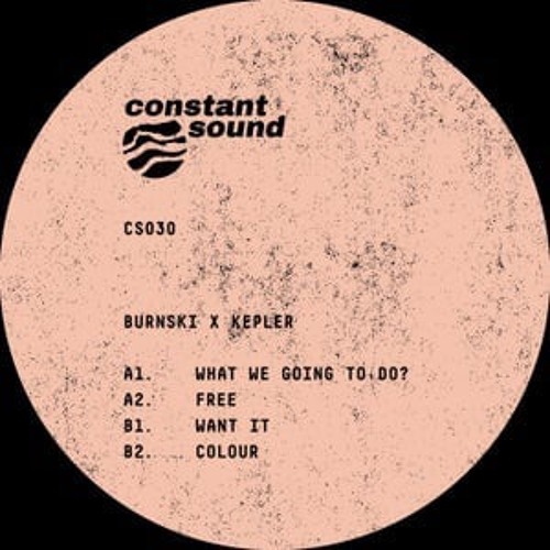 CS030 - Burnski & Kepler - What We Going To Do?