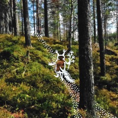 Tähden Lentäessä (Suomi)