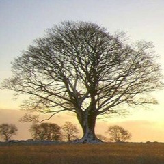 بصخات يوم الاثنين وليلة الثلاثاء + انجيل متى