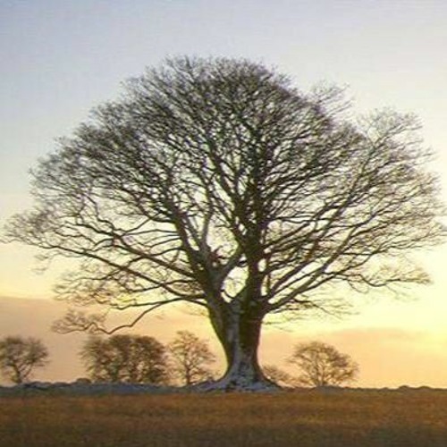 بصخات يوم الاثنين وليلة الثلاثاء + انجيل متى