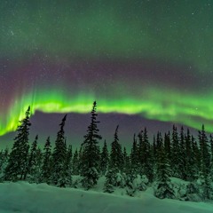 Winter Deep (January 2023)