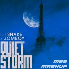 Quiet Storm - DJ Snake & Zomboy (MES Mashup)