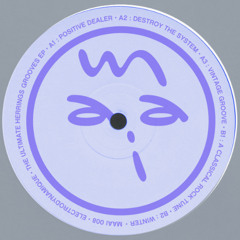 Premiere : Electrodynamique - Vintage Groove (MAAI008)