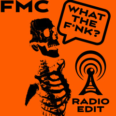 WTF (What The F*nk?) - Radio Edit