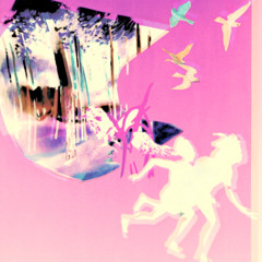 Street Lolitas - Multi-Body Dope Runners