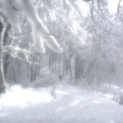 crystal memories cover.