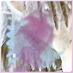 Inside Joy Egg // 28112024 // Slack City