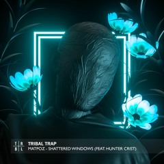 MatPoz - Shattered Windows (feat. Hunter Crist)