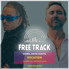 0zuna, David Guetta - Vocation (Larry DJ Private Mix)