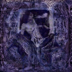 ꪖ᥅ᥴꫝꪖꪀᧁꫀꪶ (prod @9lives)