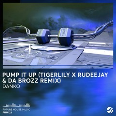 PUMP IT UP - Danko (Tigerlily x Rudeejay x Da Brozz Remix)