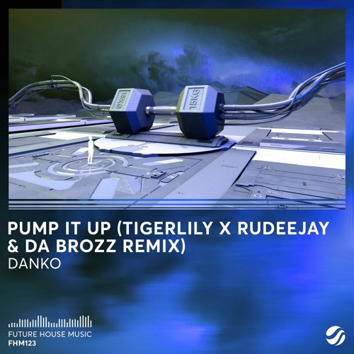 PUMP IT UP - Danko (Tigerlily x Rudeejay x Da Brozz Remix)