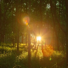 Echoes of Tir Na nÓg