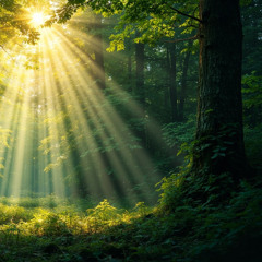 Всё на своих местах