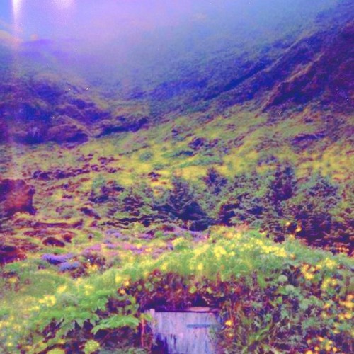 LUV w/ Valet (p. Ross Gossage)