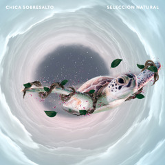 Selección Natural