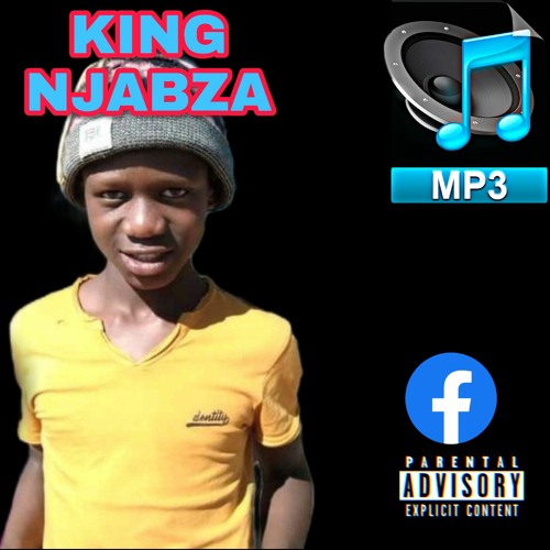 king NJABZA how i feel the beat