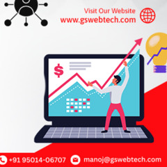 custom website development company zirakpur