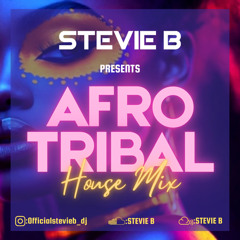 Stevie B Presents Afro Tribal House Mix Summer Edition 2025